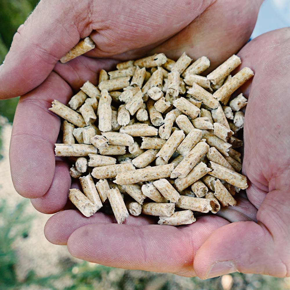 Premium ENplusA1 Holzpellets 6mm – Hochwertige Brennstoffgranulate für effiziente Heizungen
