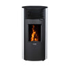 ETNA Luxe Roméo Pelletkaminofen: Leise, Wasserdicht, 8 kW, mit Abluft-Kit