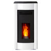 ETNA Fabio Hydro Pelletofen 19,8 kW Zentralheizung Hoher Wirkungsgrad