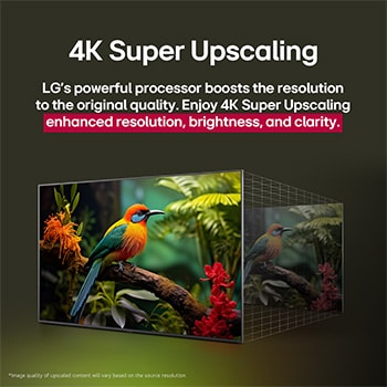LG 75 Zoll QNED AI 4K Smart TV 75QNED82A6B: Brillante Farben, α7 Gen2 AI-Prozessor, webOS, Großbild