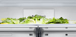 Lade das Bild in den Galerie-Viewer, LG GMG960EVEE Multi-Door Kühlschrank: InstaView, Craft Ice, UVnano, ThinQ
