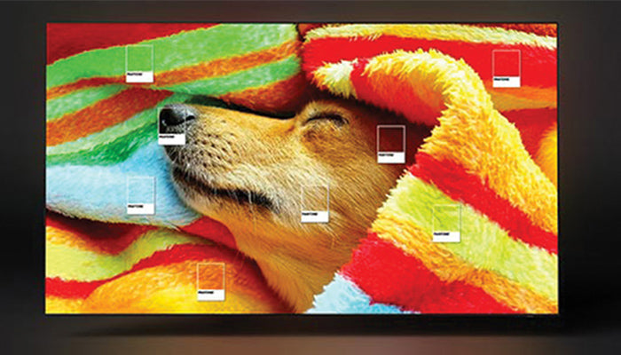 Samsung S90D 65‑Zoll OLED 4K Smart TV mit AI‑Prozessor