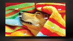 Lade das Bild in den Galerie-Viewer, Samsung S90D 65‑Zoll OLED 4K Smart TV mit AI‑Prozessor
