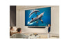 LG 75 Zoll QNED AI 4K Smart TV 75QNED82A6B: Brillante Farben, α7 Gen2 AI-Prozessor, webOS, Großbild