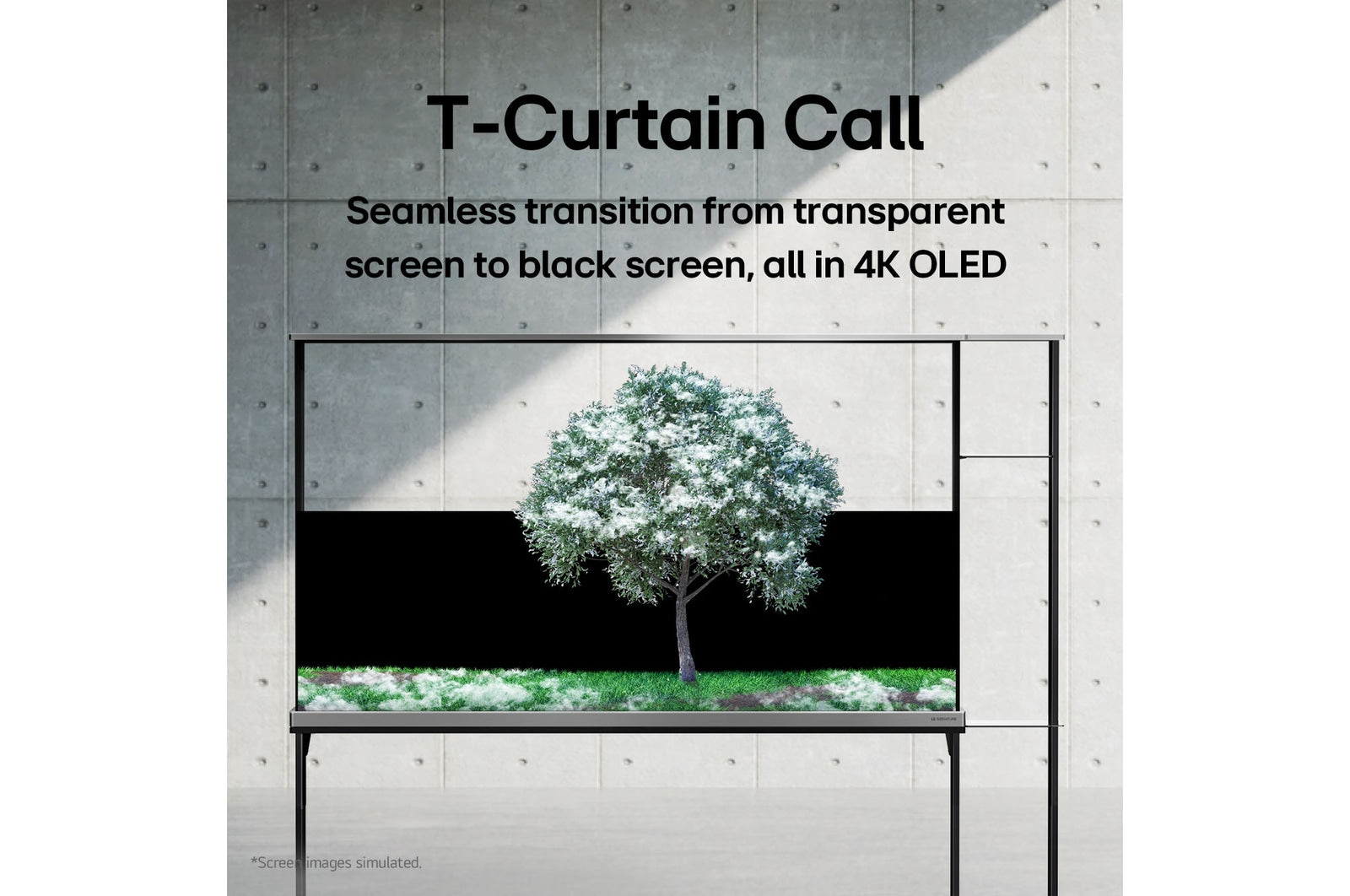 LG SIGNATURE OLED T 77 Zoll Transparenter 4K OLED TV mit Zero Connect Box