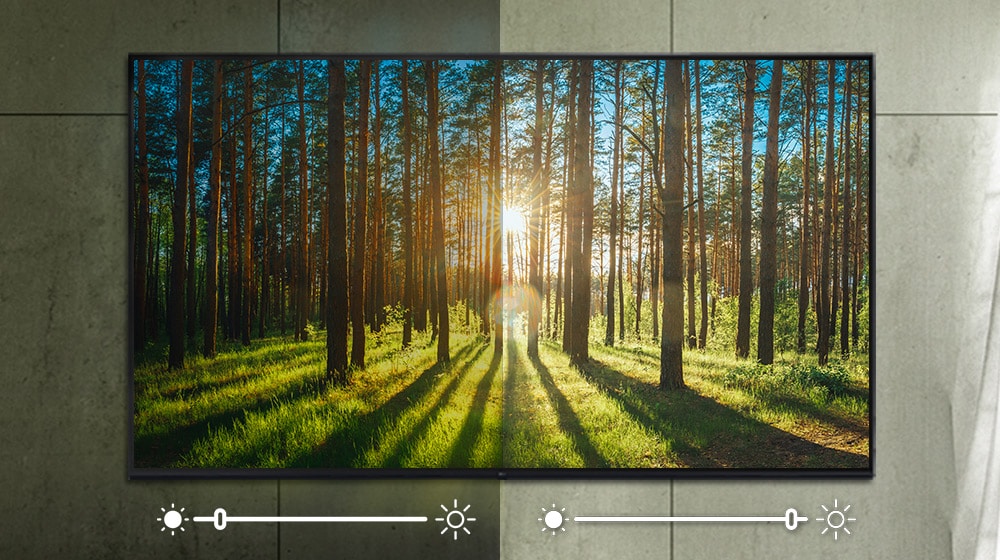 LG UR91 75 Zoll 4K UHD Smart TV: HDR10 Pro, α5 AI-Prozessor, Gaming-Optimierung