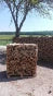 Premium Halbgetrocknetes Buchenholz, Ofenfertig, Gestapelt auf Palette, 2 m³